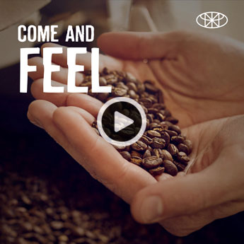 Motion graphics voor Roasters